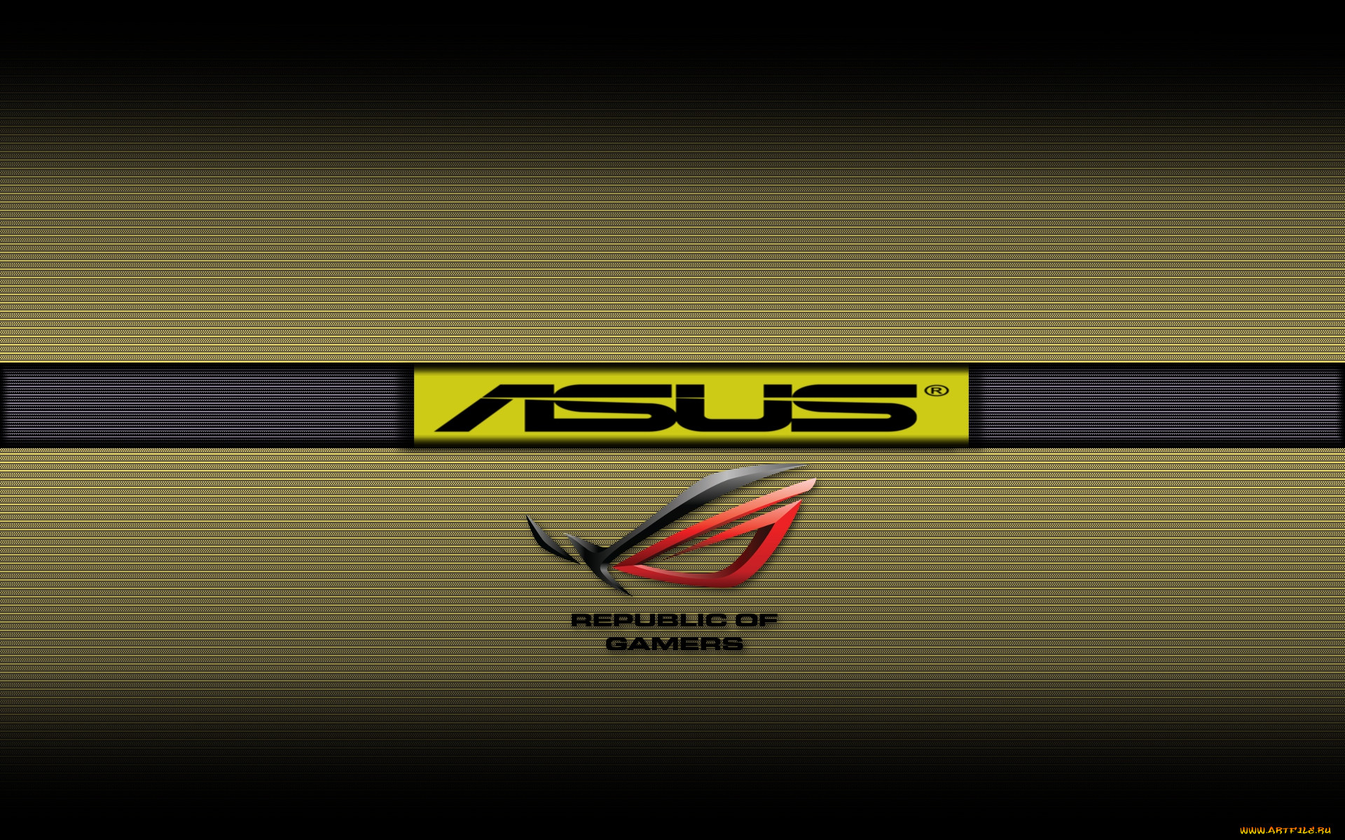, asus, , 